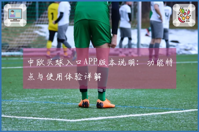 中欧买球入口APP版本说明：功能特点与使用体验详解