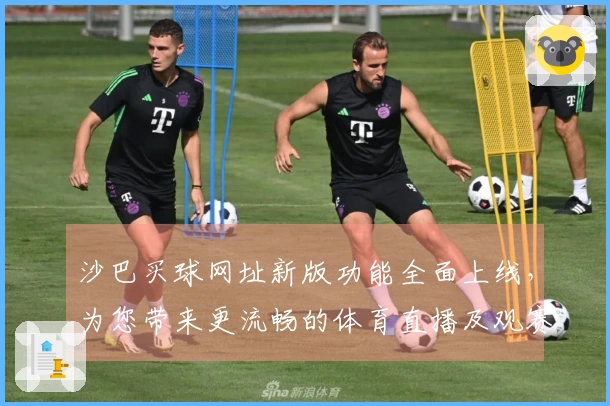 沙巴买球网址新版功能全面上线，为您带来更流畅的体育直播及观赛体验